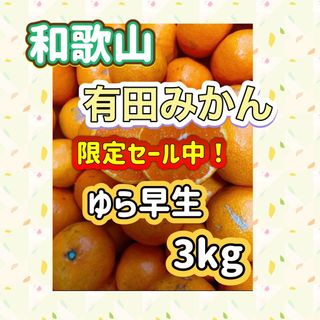 和歌山有田みかん ゆら早生3kg(フルーツ)