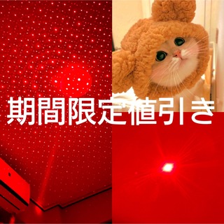 LEDペンライト　レーザー　ポインター　カラス駆除  猫おもちゃ　工事　会議(その他)