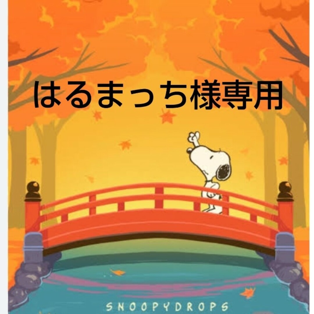 SNOOPY - はるまっち様専用の通販 by こんちゃん☆ shop｜スヌーピー