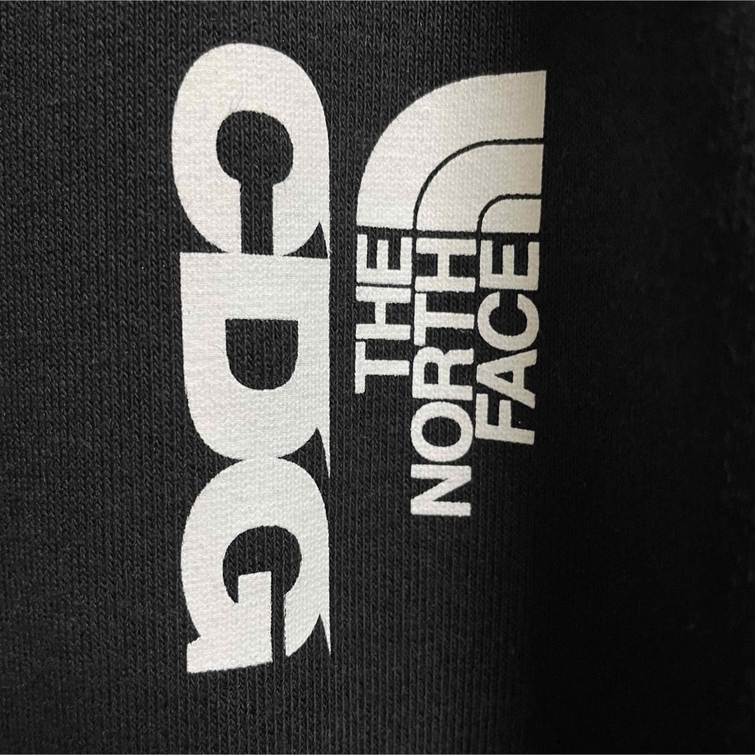 THE NORTH FACE CDG ICON P/O HOODIE