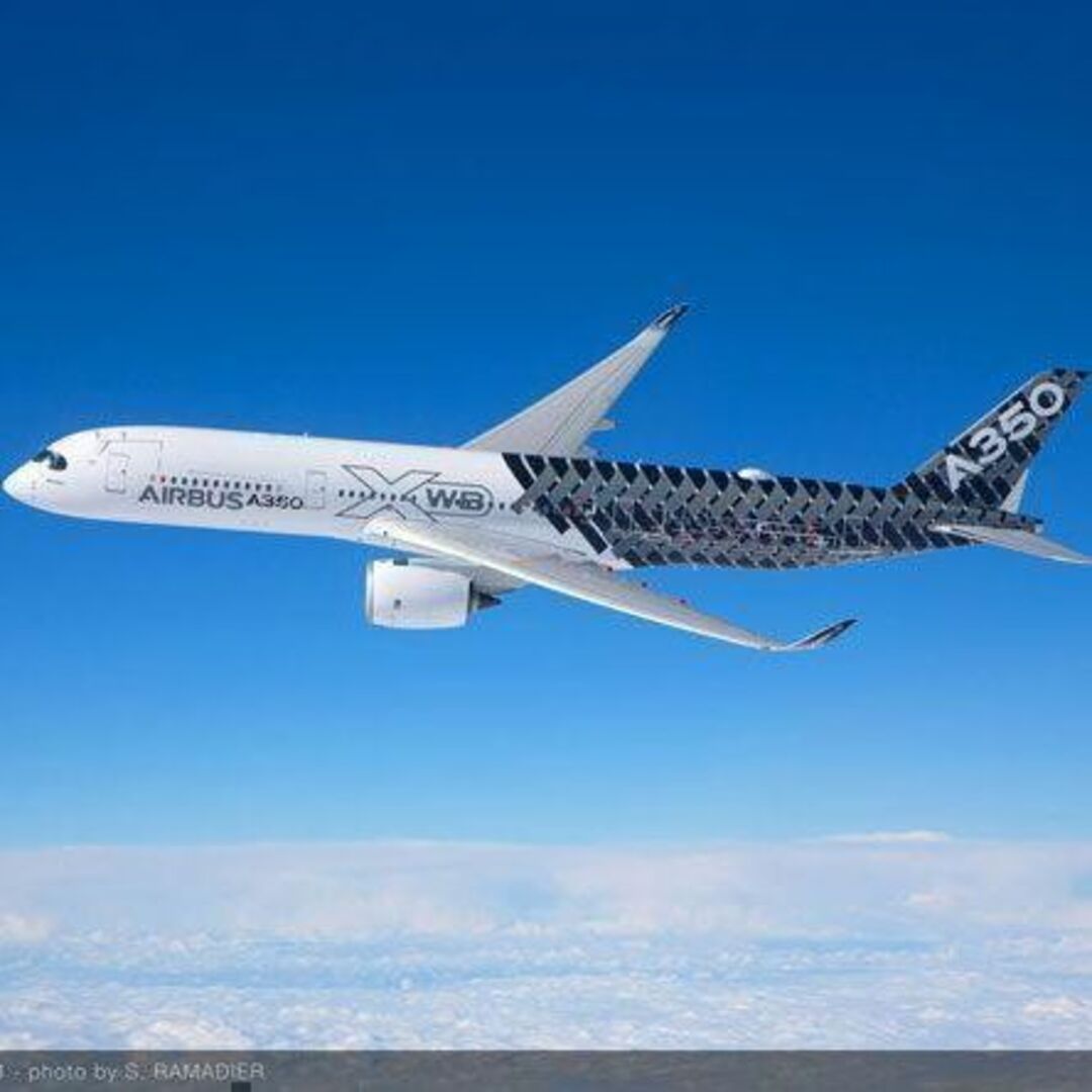 フライトタグ　A350XWB　エアバス　エアライン　パイロット　ANA　JAL エンタメ/ホビーのテーブルゲーム/ホビー(航空機)の商品写真