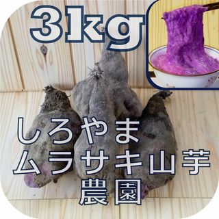 紫山芋(土付き)3kg(野菜)