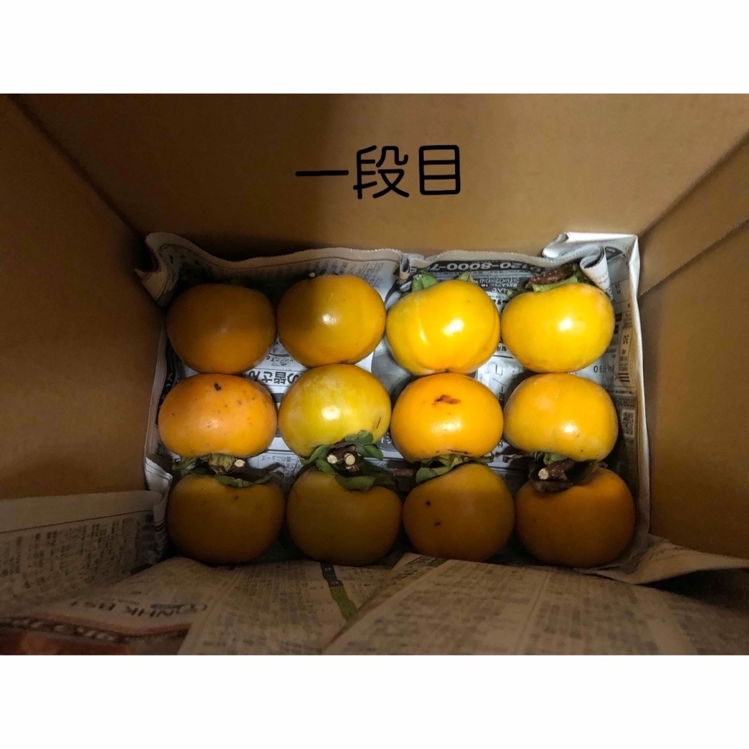 ご自宅用　柿48個　渋抜き不要 食品/飲料/酒の食品(フルーツ)の商品写真