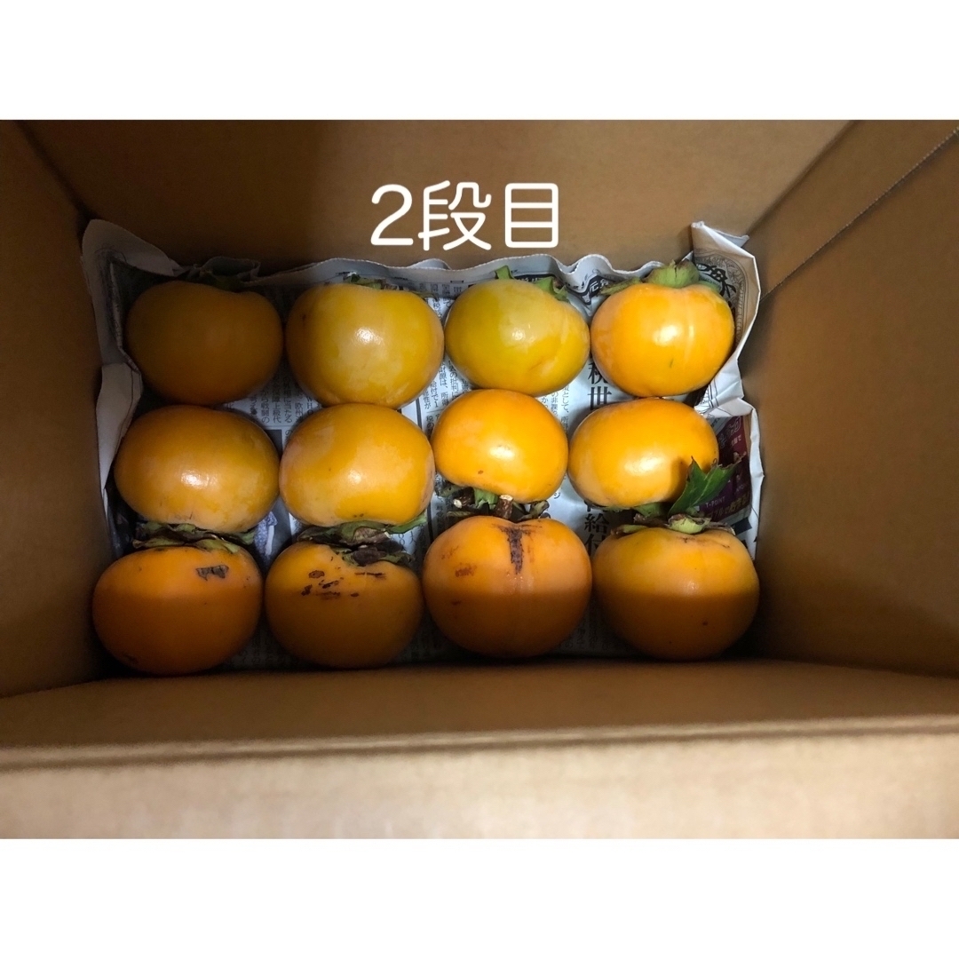 ご自宅用　柿48個　渋抜き不要 食品/飲料/酒の食品(フルーツ)の商品写真