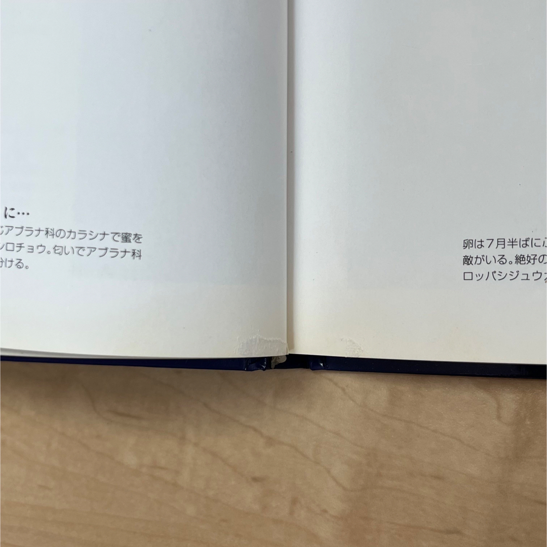 朝日新聞出版(アサヒシンブンシュッパン)の1800→1200値下げ★熊田千佳慕の世界展-花と虫を愛して-　＜図録＞ エンタメ/ホビーの本(アート/エンタメ)の商品写真