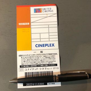 ユナイテッドシネマ　映画鑑賞券(その他)