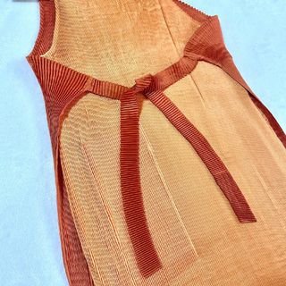 ISSEY MIYAKE - 新品イッセイミヤケ プリーツ エプロンワンピース 2way