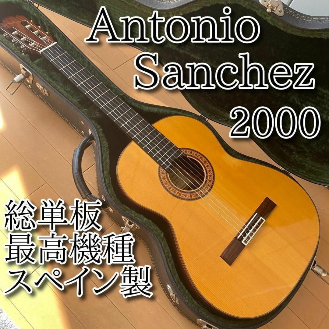 美品 Antonio Sanchez アントニオサンチェス 2000 松 最上位のサムネイル