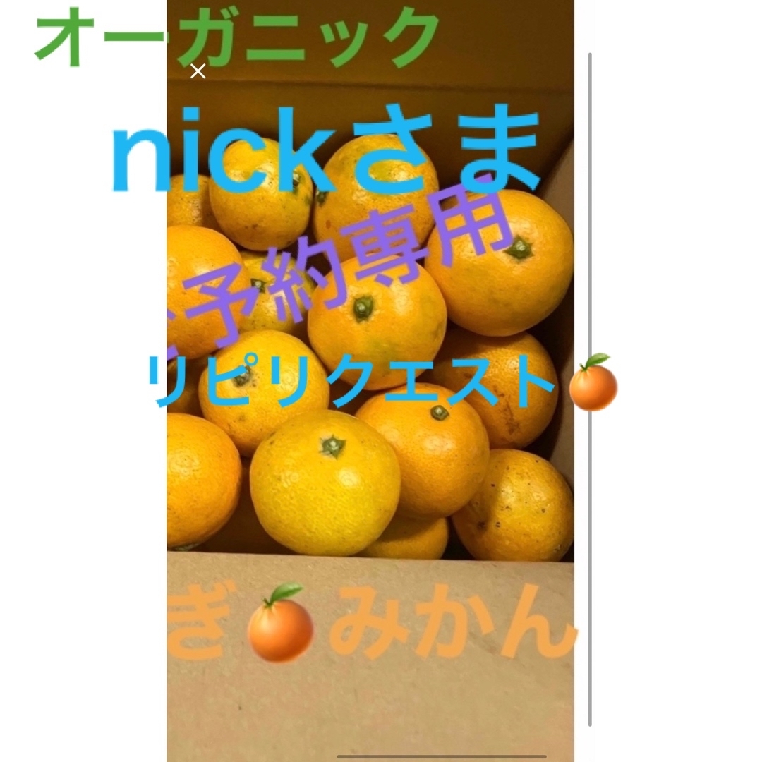 nickさまご予約みかん　グリーン&オレンジ 食品/飲料/酒の食品(フルーツ)の商品写真