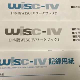 WISC-Ⅳ 記録用紙 3点セット(その他)