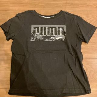 プーマ(PUMA)のプーマPUMA  Tシャツ140センチ❗️送料無料❗️(Tシャツ/カットソー)