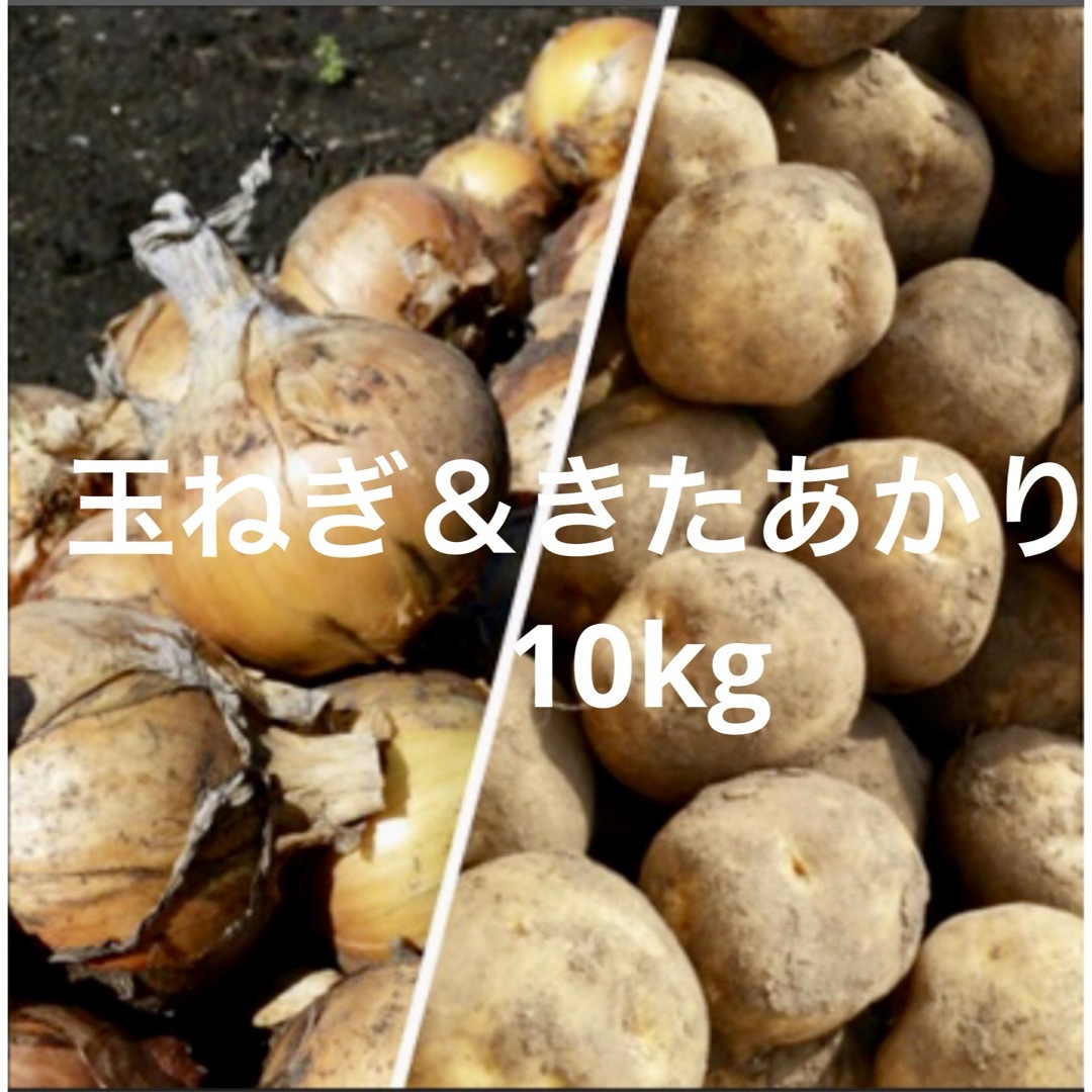 北海道産　玉ねぎ＆キタアカリ10kg 食品/飲料/酒の食品(野菜)の商品写真