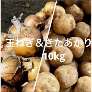 北海道産　玉ねぎ＆キタアカリ10kg(野菜)