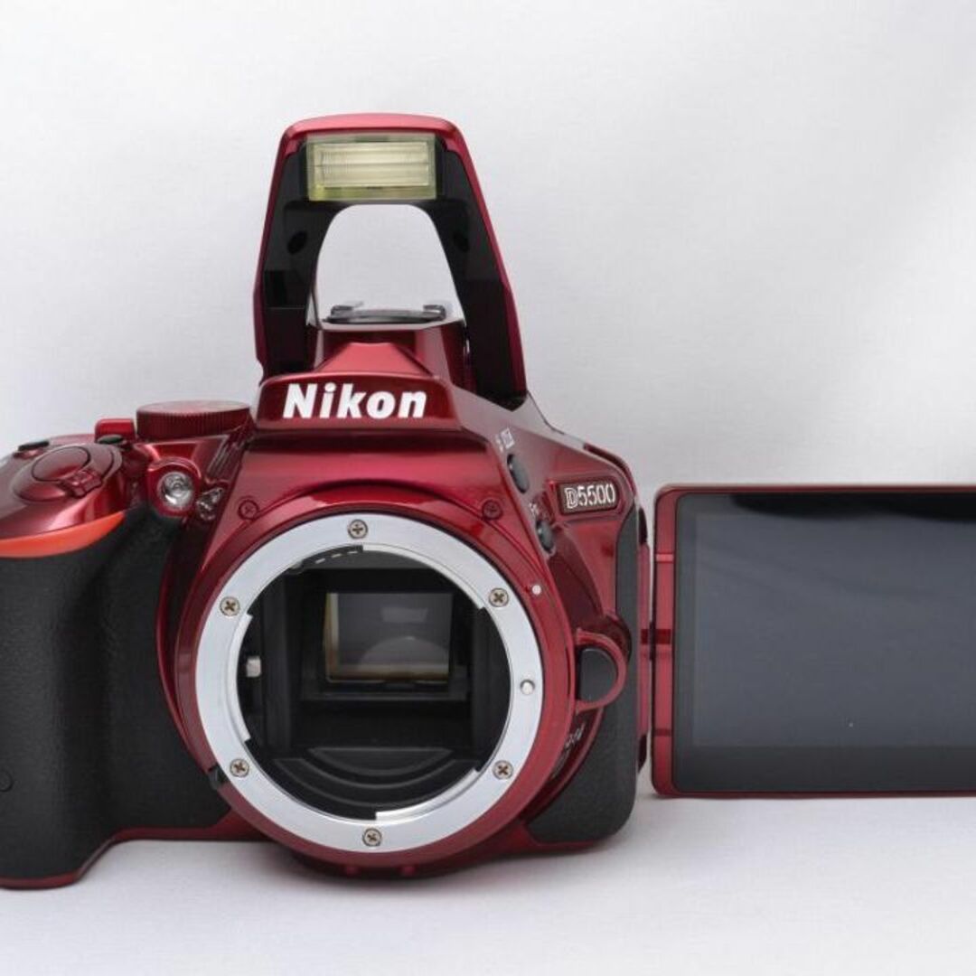 Nikon ニコン D5500 ダブルズーム♪ 元箱付★