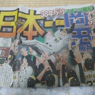 ハンシンタイガース(阪神タイガース)のスポーツ報知★即購入ok11月６日(趣味/スポーツ)