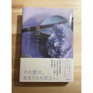 汝、星のごとく(文学/小説)