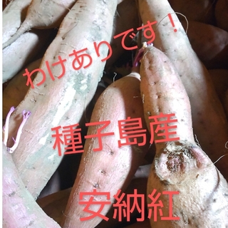 わけあり品　種子島産安納紅M・Lサイズ混合5キロ(野菜)