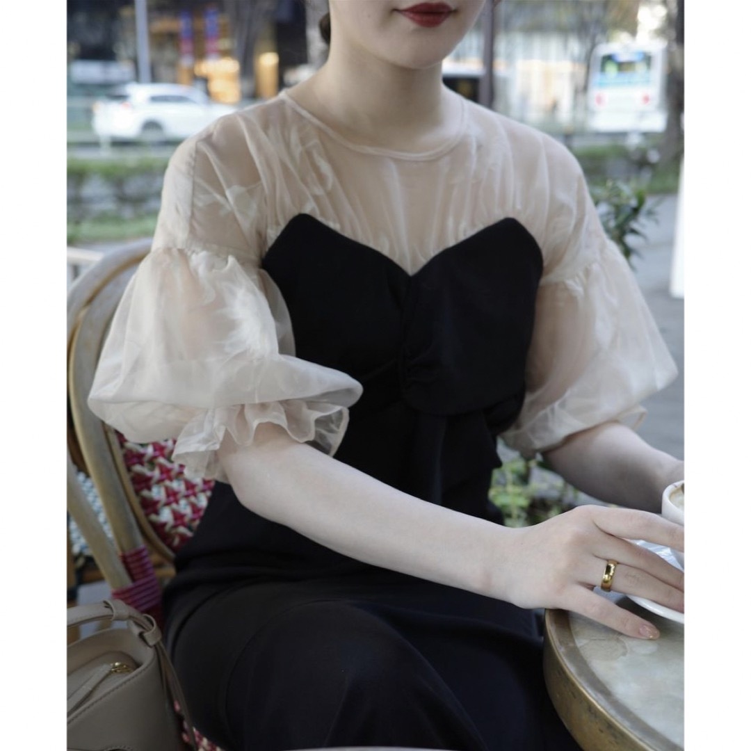 acka♡sheer puff dress レディースのフォーマル/ドレス(ロングドレス)の商品写真