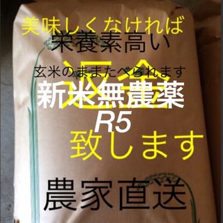 新米　無農薬　純こしひかり30㎏ 玄米(米/穀物)