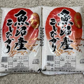 新米　魚沼産こしひかり　6kg(米/穀物)