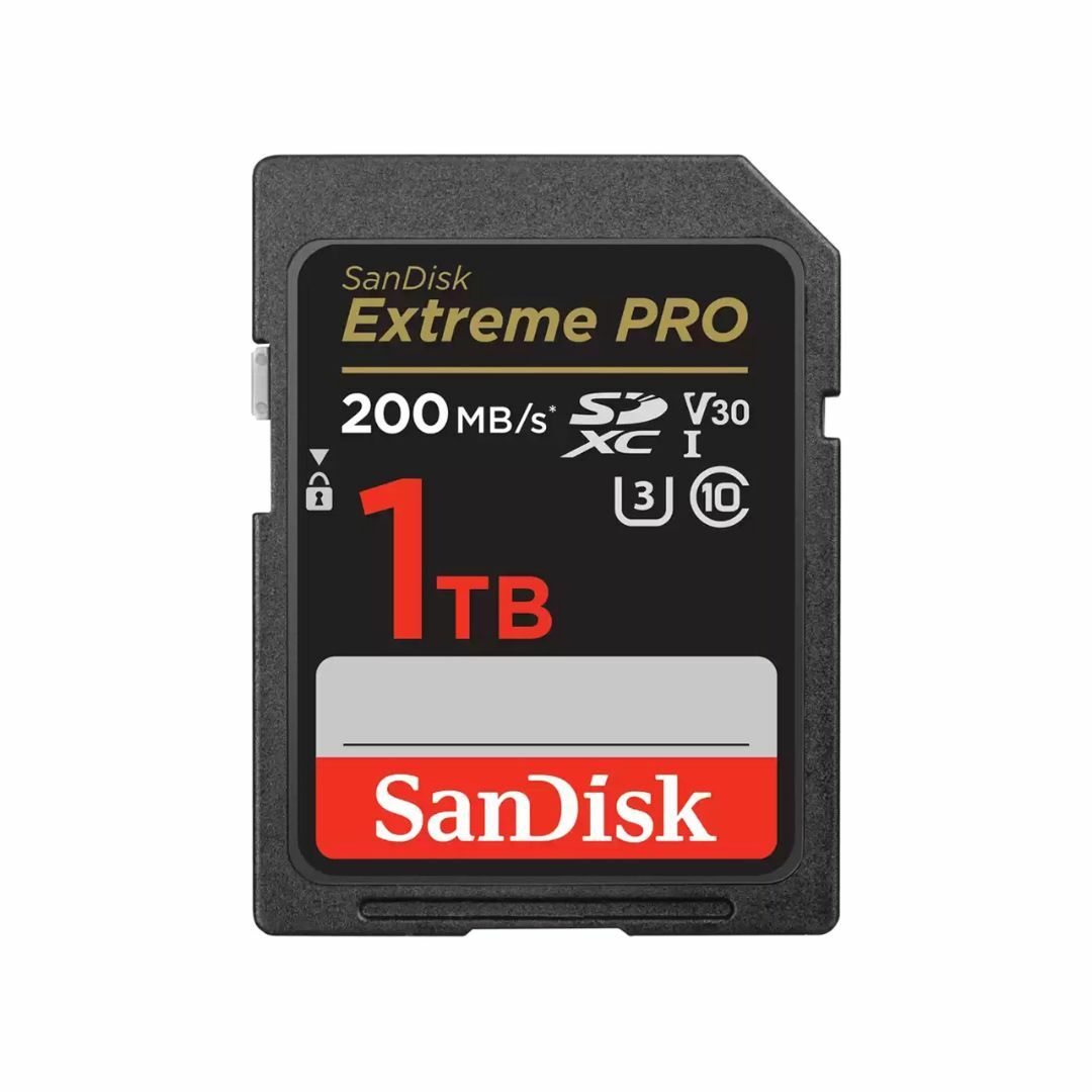 SANDISK　SDSDXXD-1T00-GN4IN [1TB]