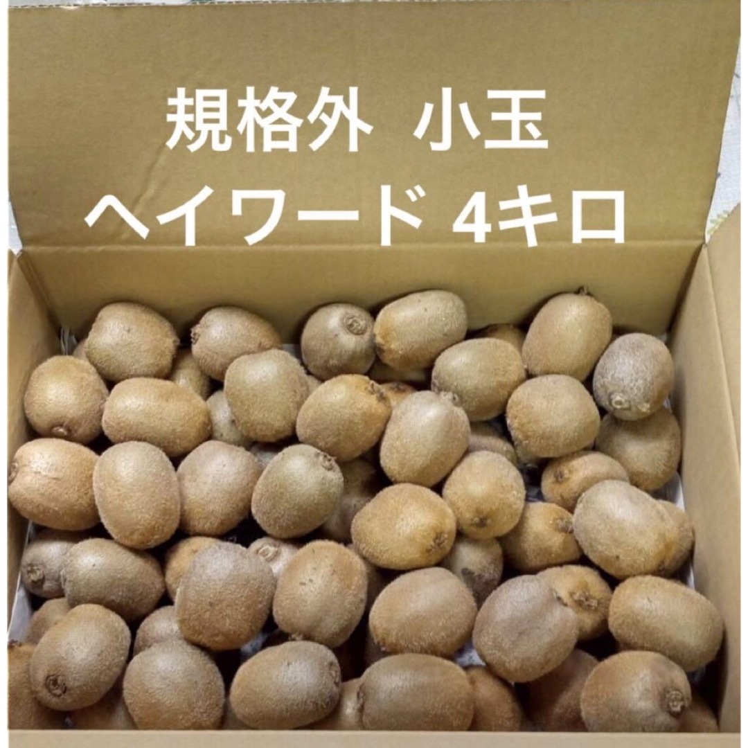 愛媛県産 規格外 小玉 4キロ ヘイワード 食品/飲料/酒の食品(フルーツ)の商品写真