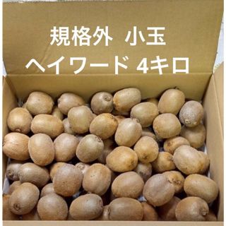 愛媛県産 規格外 小玉 4キロ ヘイワード(フルーツ)