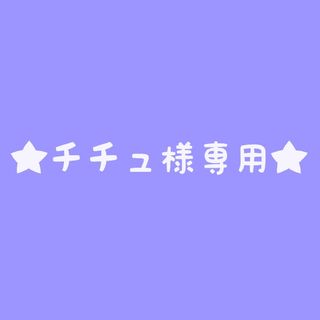 矢沢永吉ステッカー★チチュ様専用★(ミュージシャン)