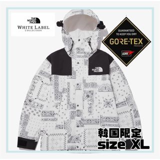 ノースフェイス(THE NORTH FACE) 韓国 マウンテンパーカー(メンズ)の ...