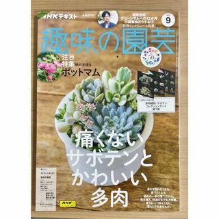 にこまる様専用です。NHK趣味の園芸2023年9月号 サボテン/多肉/ポットマム(趣味/スポーツ)