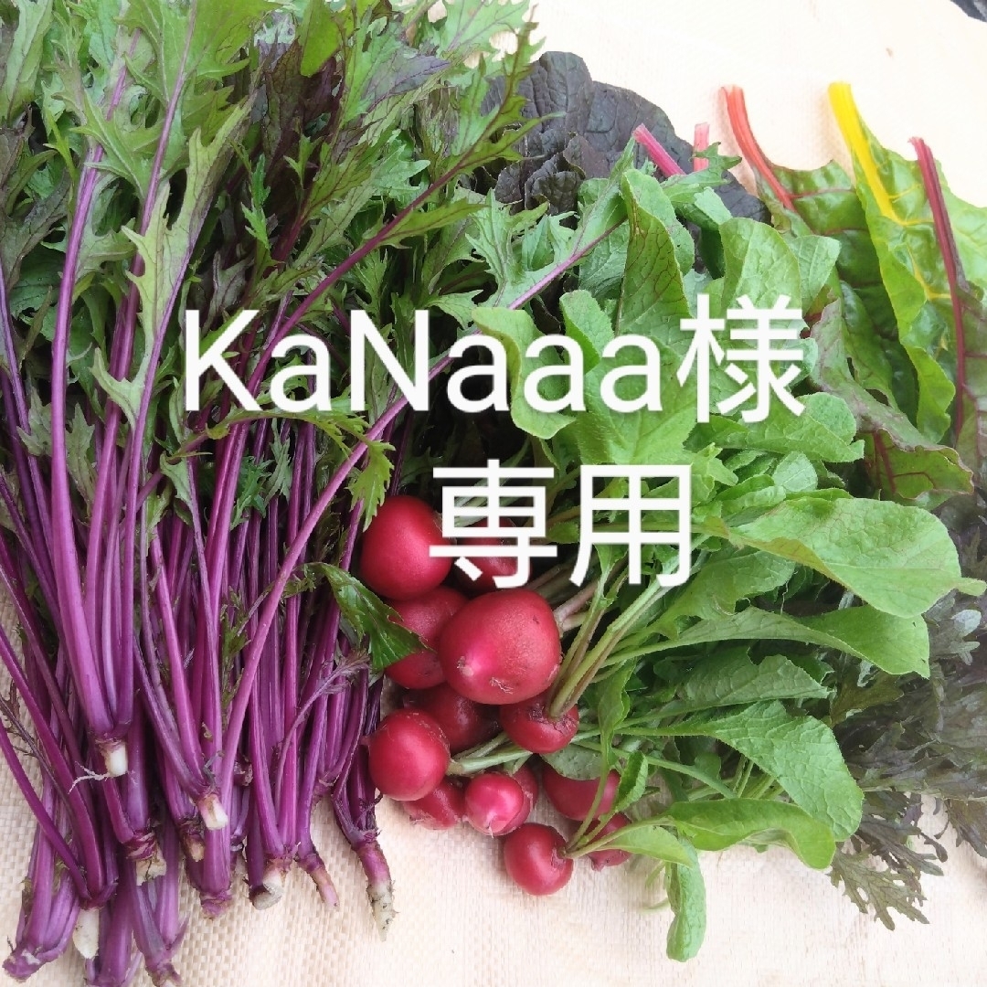 KaNaaa様専用 食品/飲料/酒の食品(野菜)の商品写真