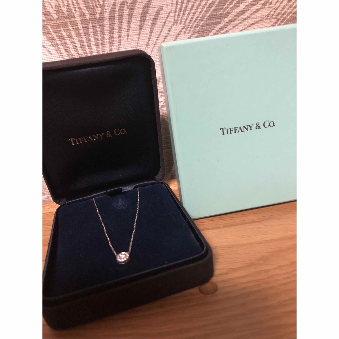 ティファニー TIFFANY＆CO サークレットダイヤネックレス　Pt950