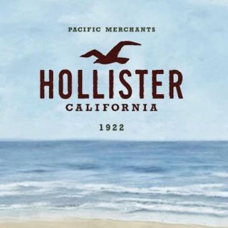 ホリスター(Hollister)のツォッポン様専用(Tシャツ/カットソー(半袖/袖なし))