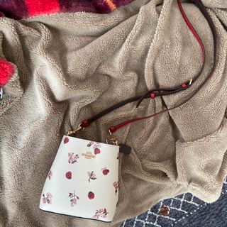 コーチ(COACH)のコーチ レア 美品 COACH ショルダーバッグ 花柄 てんとう虫  (ショルダーバッグ)