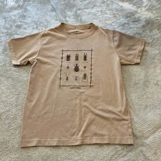 モンベル(mont bell)のmont-bellのTシャツ(Tシャツ/カットソー)