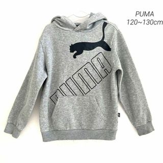 プーマ(PUMA)のPUMA プーマ   スウェットフルジップ ビッグロゴ フーディー(Tシャツ/カットソー)