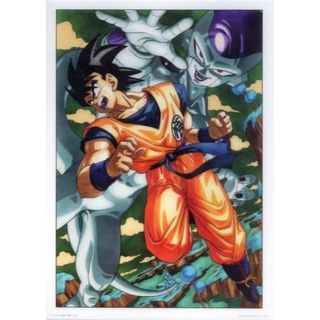 ドラゴンボールＺ 孫悟空 VS フリーザ ビジュアルアートポスター