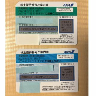 エーエヌエー(ゼンニッポンクウユ)(ANA(全日本空輸))のANA株主優待券 2枚セット(航空券)