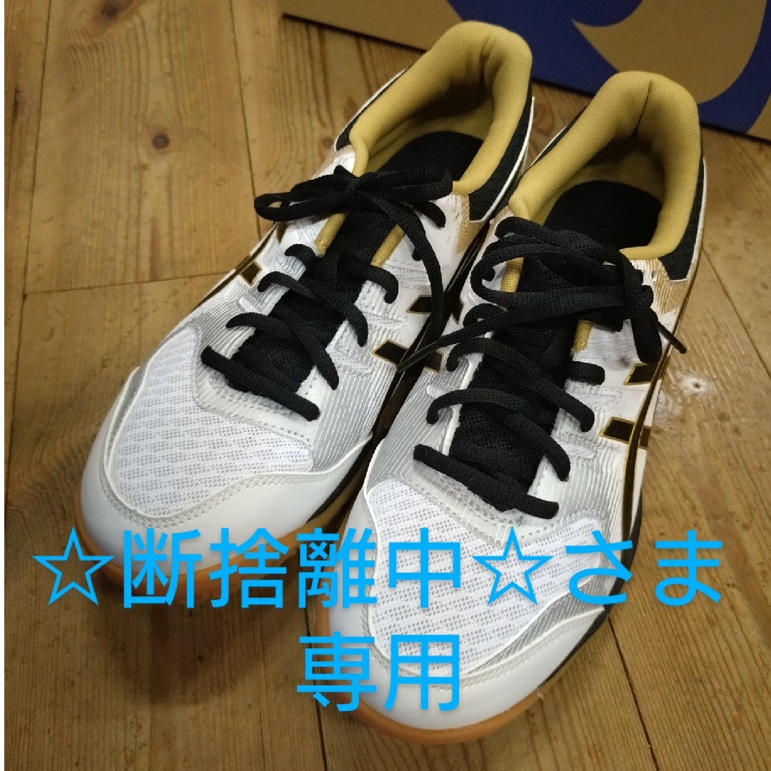断捨離中様 専用 Onitsuka Tiger 28cm オニツカタイガー 断捨離中様 専用 Onitsuka Tiger 28cm オニツカタイガー