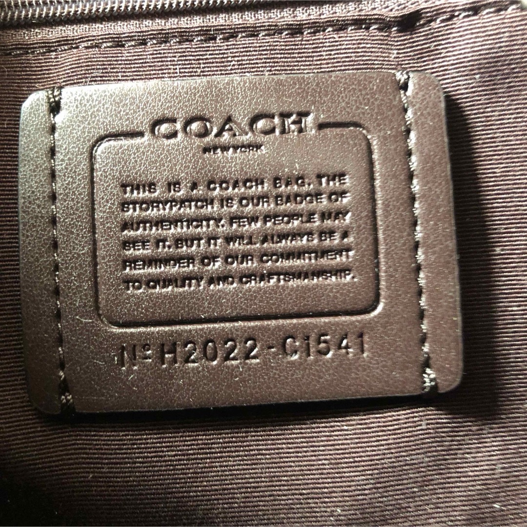 ハンドバッグ【新品】COACH ショルダーバッグ シグネチャー アイル グラフィック