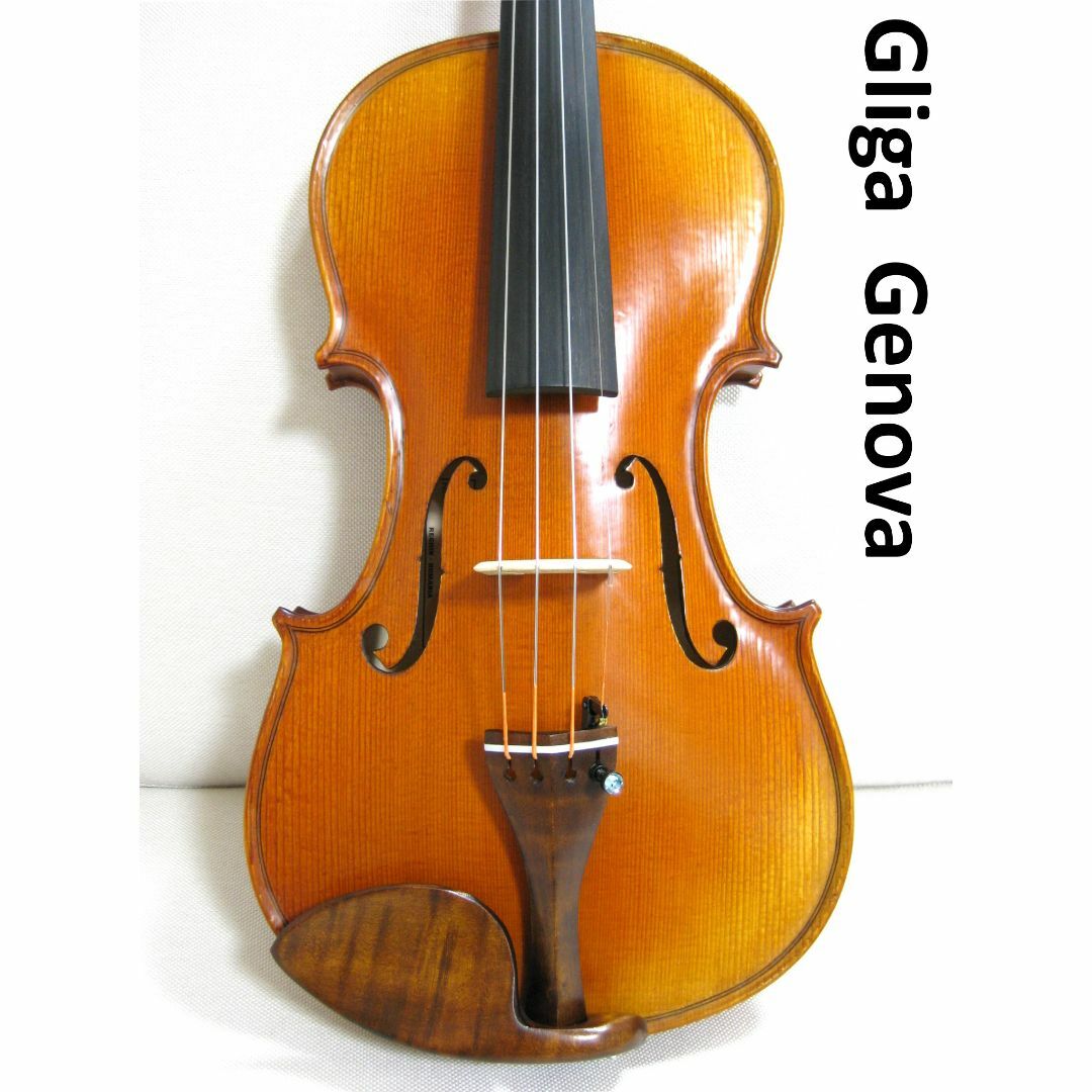 【美麗極上1枚板】 グリガ GLIGA Genova3 Elite バイオリン
