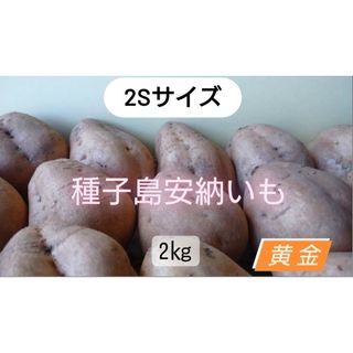 種子島安納いも黄金2S　2キロ(野菜)