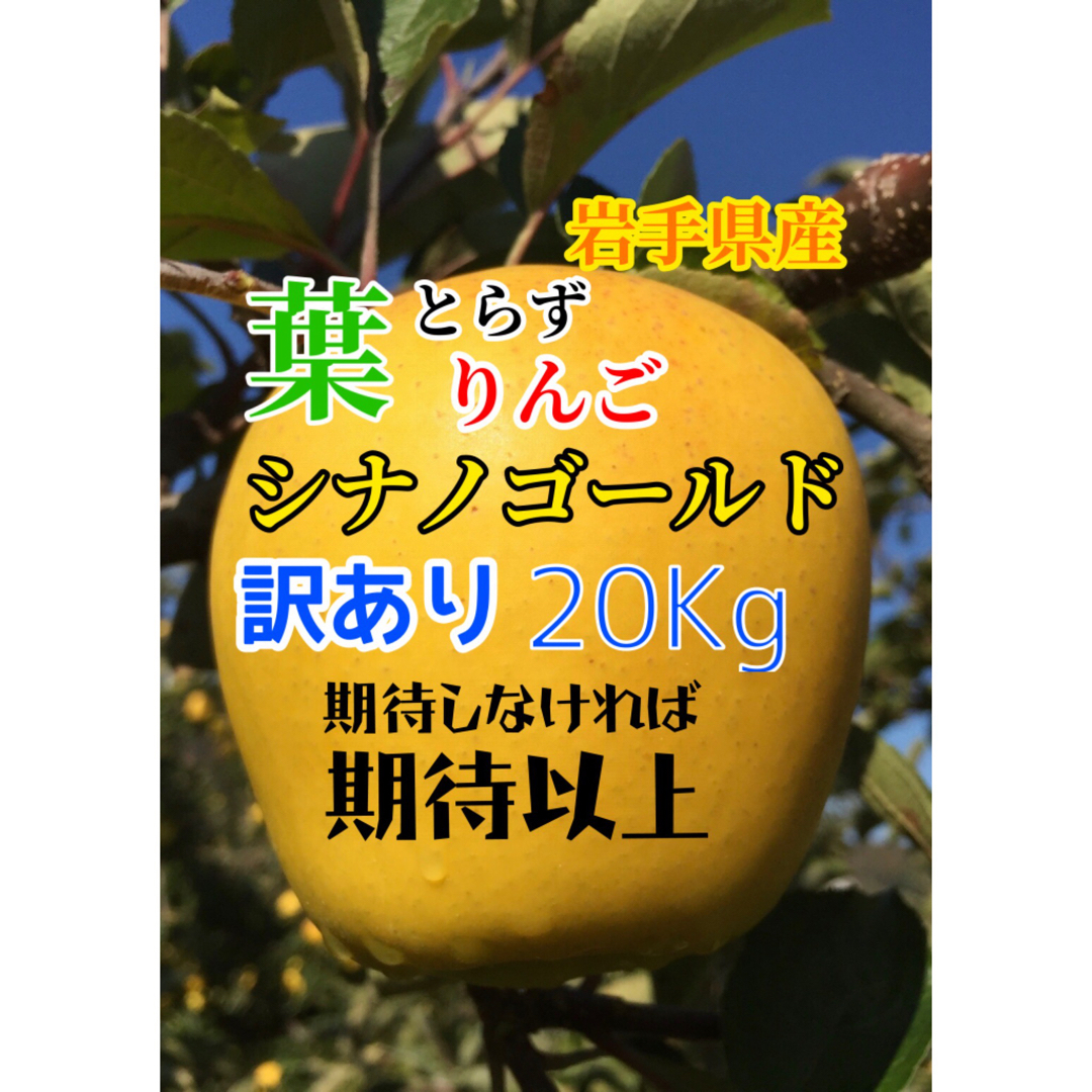 訳あり果物の種類りんご【訳あり】葉とらずりんご シナノゴールド20kg