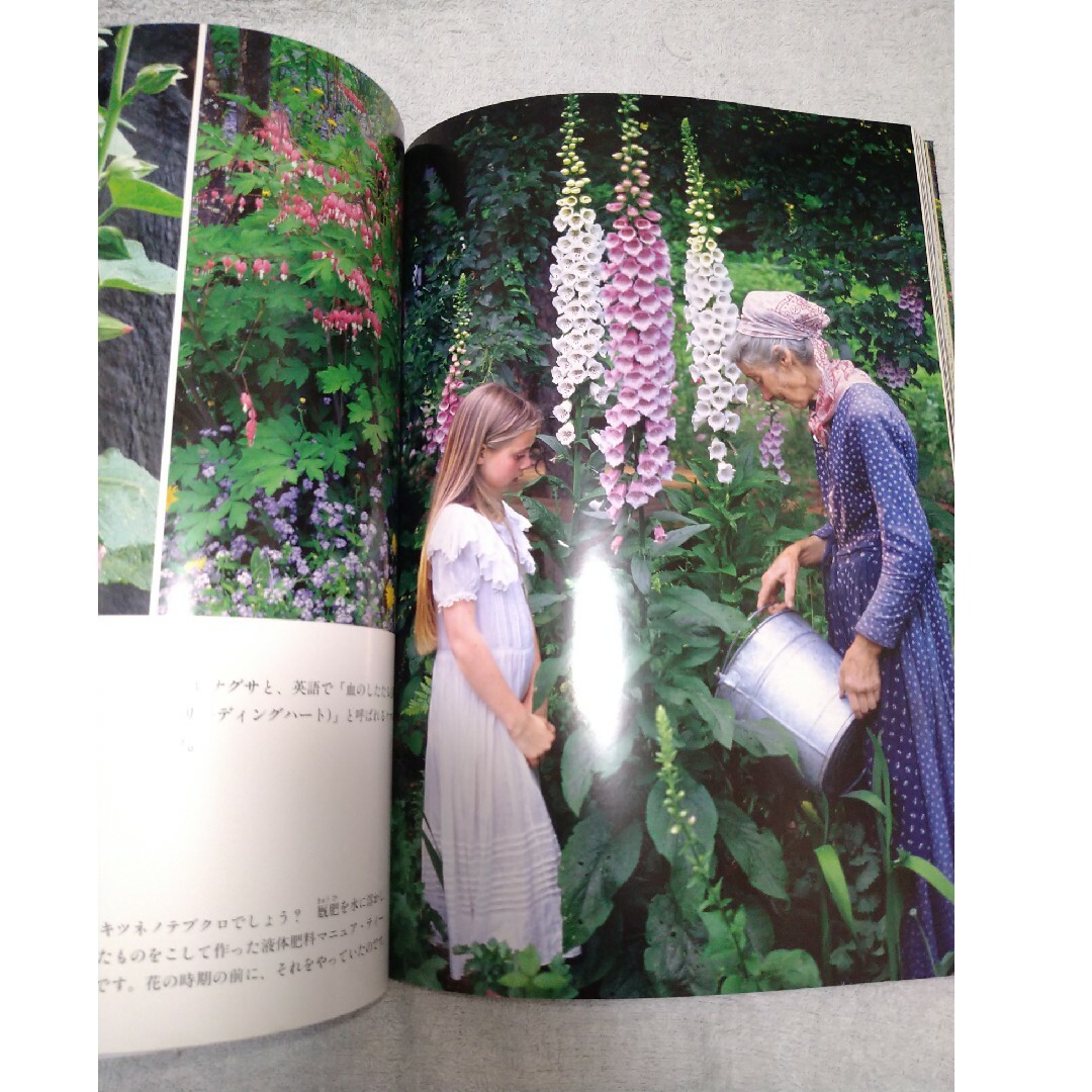 ターシャの庭 エンタメ/ホビーの本(趣味/スポーツ/実用)の商品写真