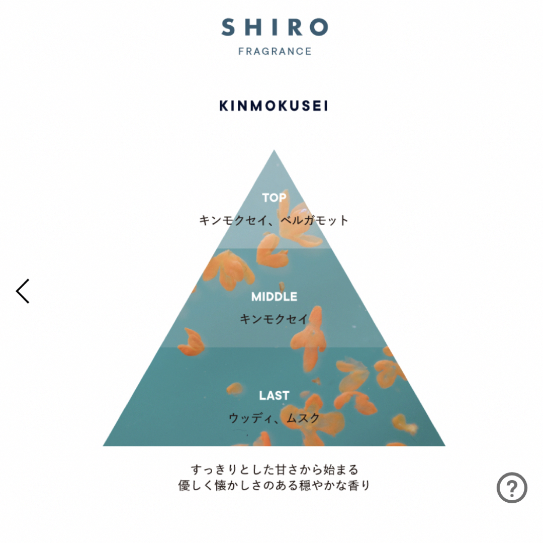 shiro(シロ)のSHIRO キンモクセイ　オードパルファン　40ml コスメ/美容の香水(香水(女性用))の商品写真