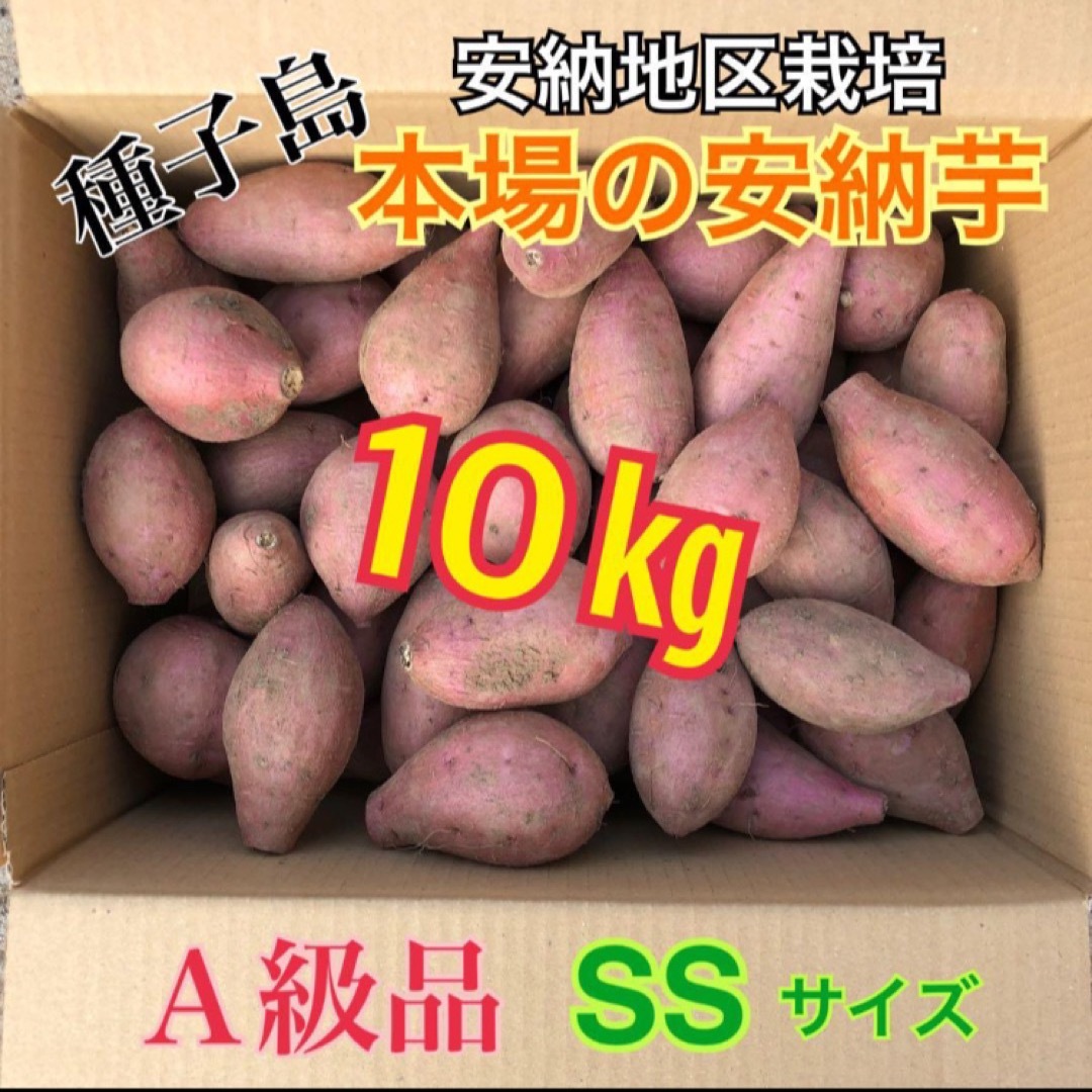 種子島 農家直送！安納地区の安納芋 M 10キロ A級品さつまいも - 野菜