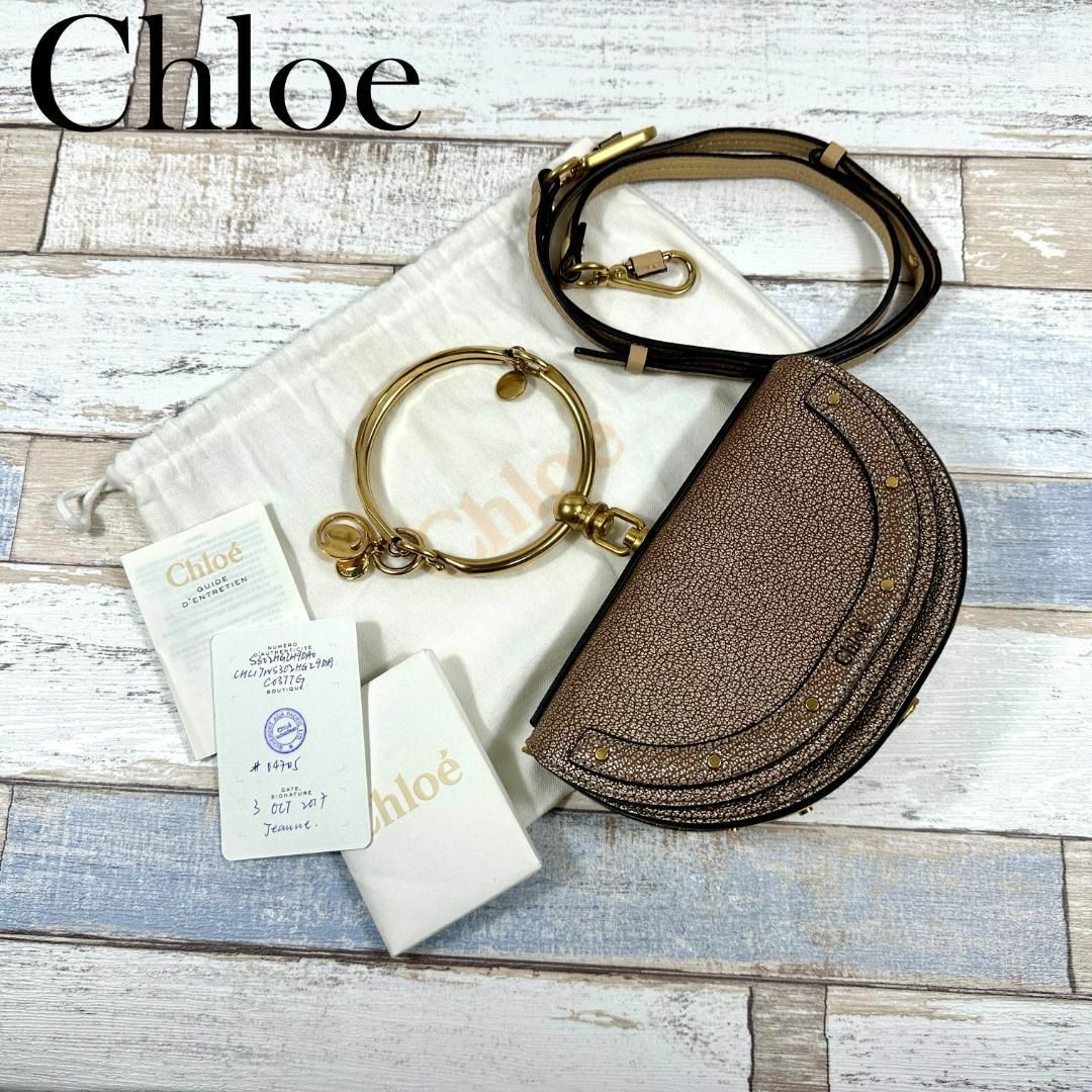 Chloe(クロエ)のChloe　クロエ　希少カラー　ナイル　ミノディエール　ハンドバッグ レディースのバッグ(ハンドバッグ)の商品写真