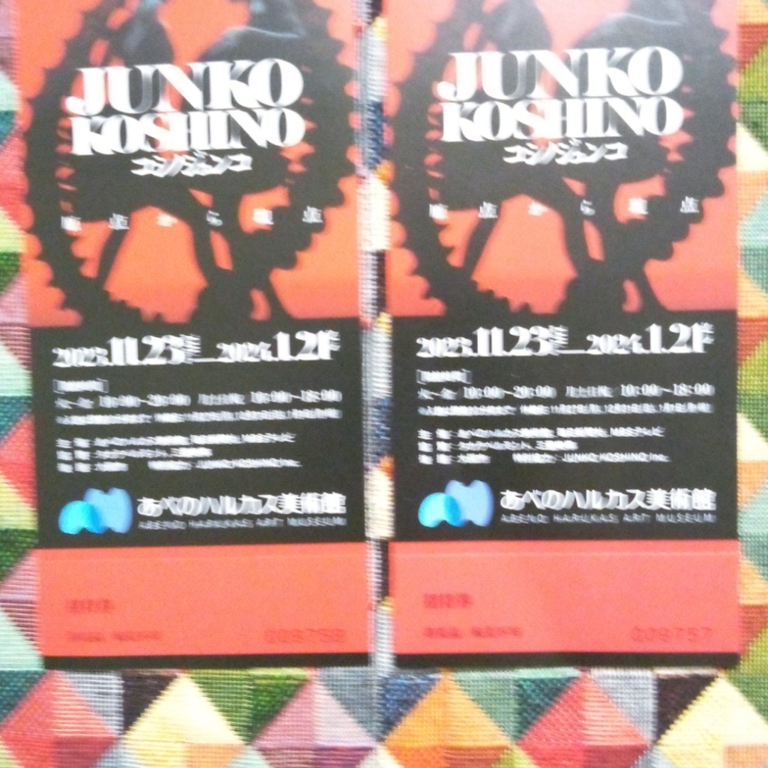 JUNKO KOSHINO(コシノジュンコ)のコシノジュンコ　原点から現点　招待券2枚 チケットの施設利用券(美術館/博物館)の商品写真