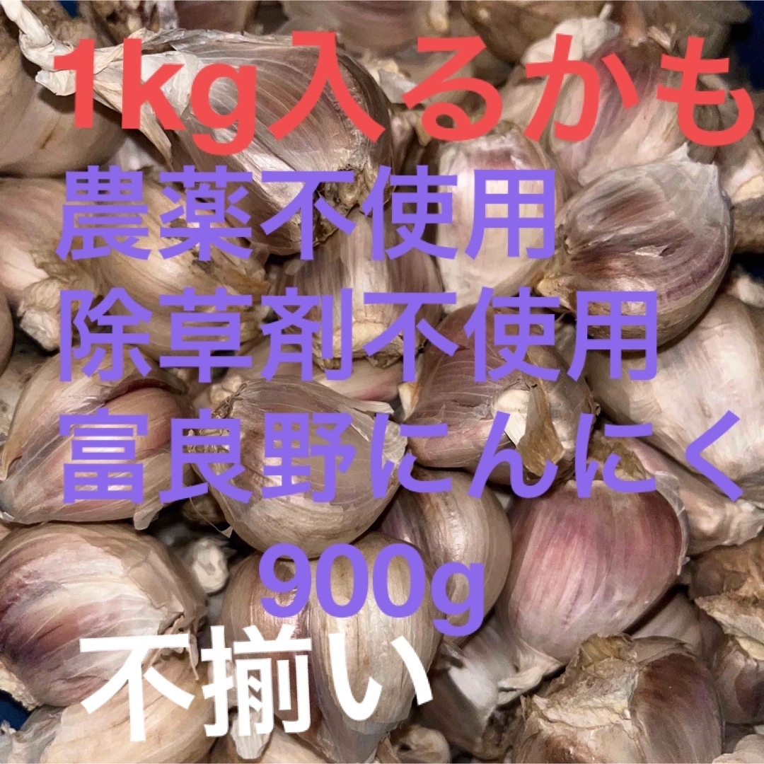 タイムセール　訳あり　農薬不使用　除草剤不使用　富良野ニンニク　にんにく　バラ 食品/飲料/酒の食品(野菜)の商品写真