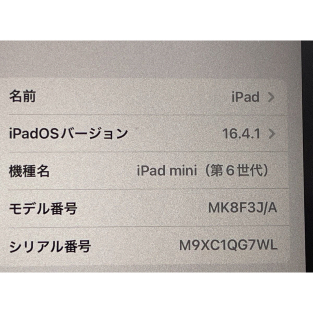 SIMフリー Apple iPad mini 6 256GB Wi-Fiセルラー